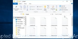 Files encrypted by Rectot ransomware