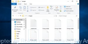 Files encrypted by Roldat ransomware