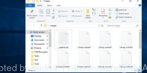 Files encrypted by codnat1 ransomware