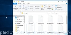 Files encrypted by dotmap ransomware