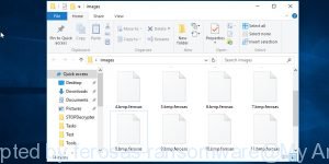 Files encrypted by ferosas ransomware