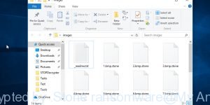 Files encrypted by .Stone ransomware