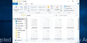 Files encrypted by .boston ransomware