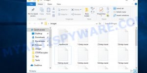 Files encrypted by .nusar virus