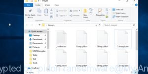 Files encrypted by .pidon ransomware
