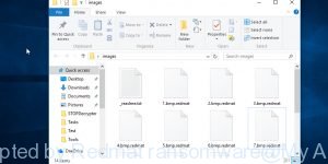 Files encrypted by .Redmat ransomware