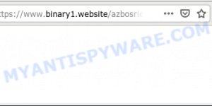 Binary1.website