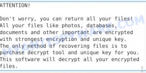 Cezor ransomware - ransom note