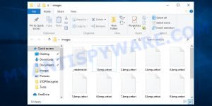 Files encrypted by cetori virus