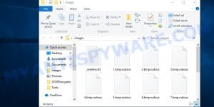 Files encrypted by nuksus virus