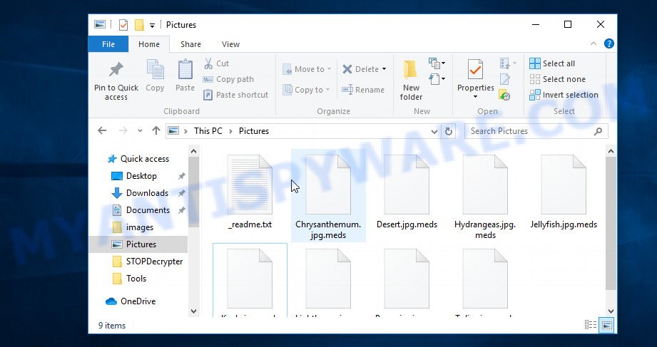 Files encrypted by .meds virus