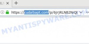 cudalbapt.com