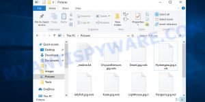 Files encrypted with nols extension