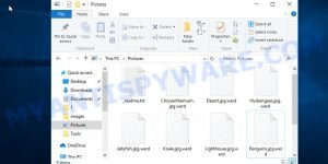 Files encrypted with werd extension
