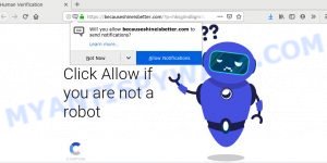 becauseshineisbetter.com