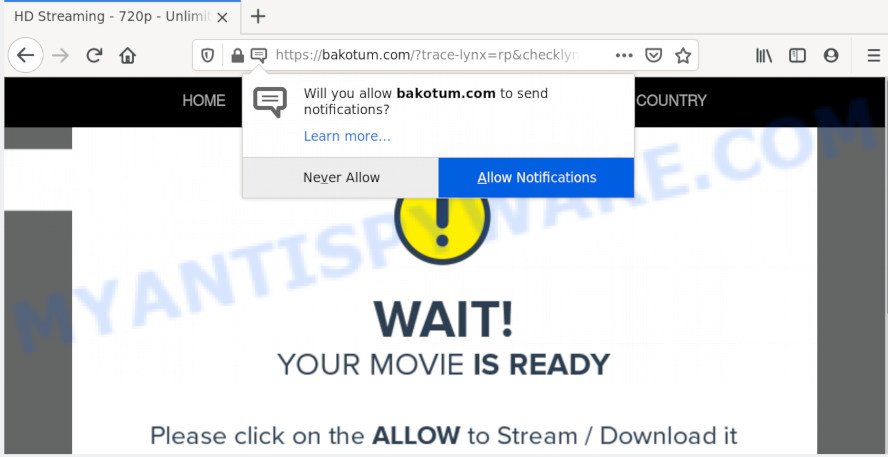 Bakotum.com