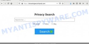 Browsingsecurityhub.com