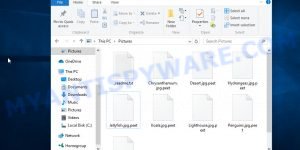 Files encrypted with .Peet file extension