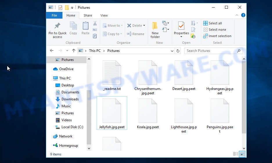 Files encrypted with .Peet file extension