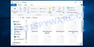 Files encrypted with .Piny extension