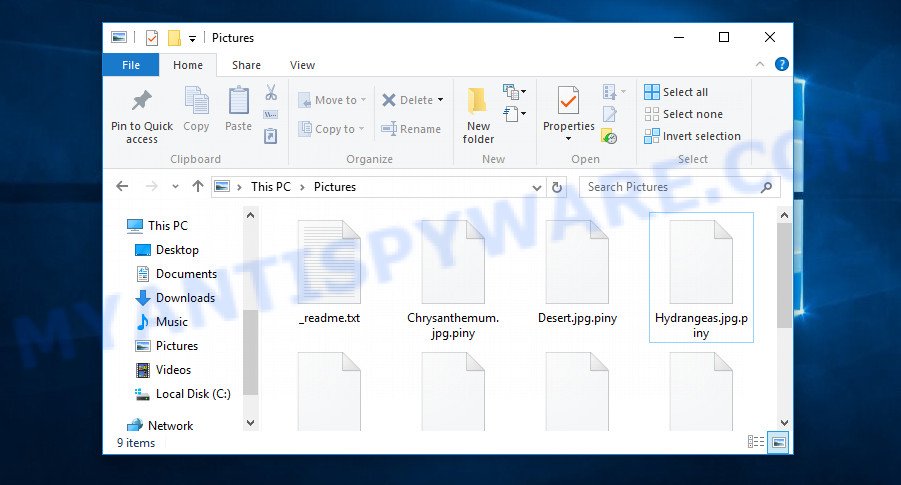 Files encrypted with .Piny extension