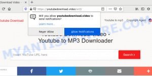 Youtubedownload.video