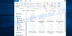 Files encrypted with .Npsg extension