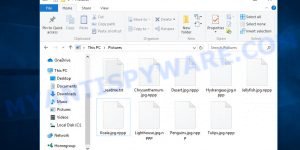 Files encrypted with .Nppp file extension