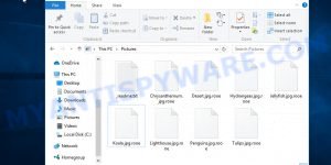 Files encrypted with .rooe extension
