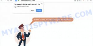 Belazyelephant.com