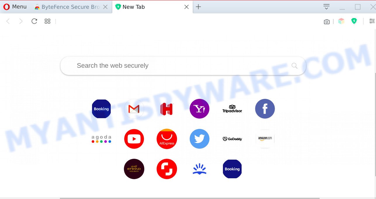 ByteFence Secure Browsing