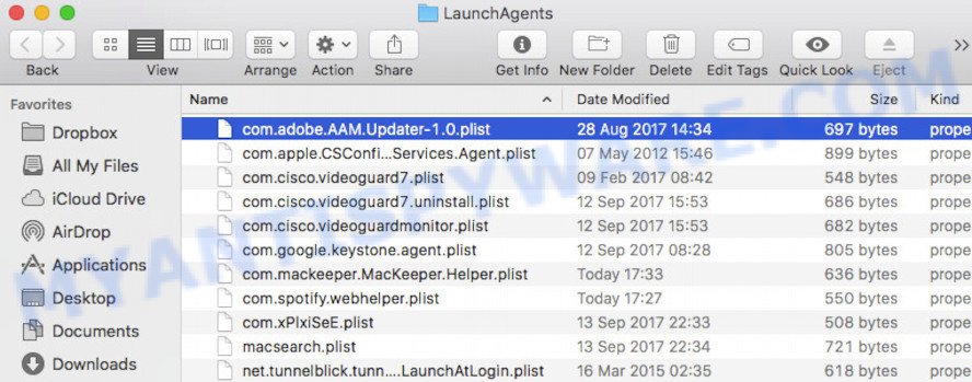 LaunchAgents folder