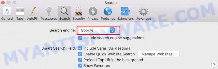 Safari search engine