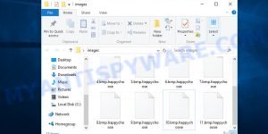 Happychoose ransomware