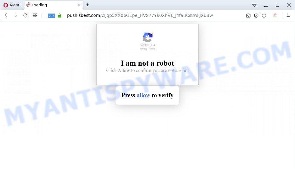 Pushisbest.com
