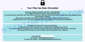 void ransomware