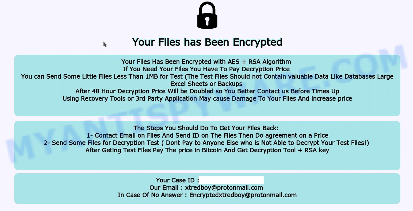 void ransomware