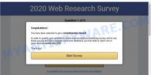 2020 Visitor Feedback Survey