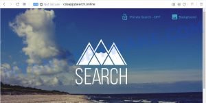 Cosappzsearch.online