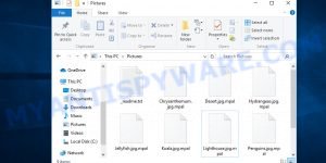 Files encrypted with .Mpal file extension
