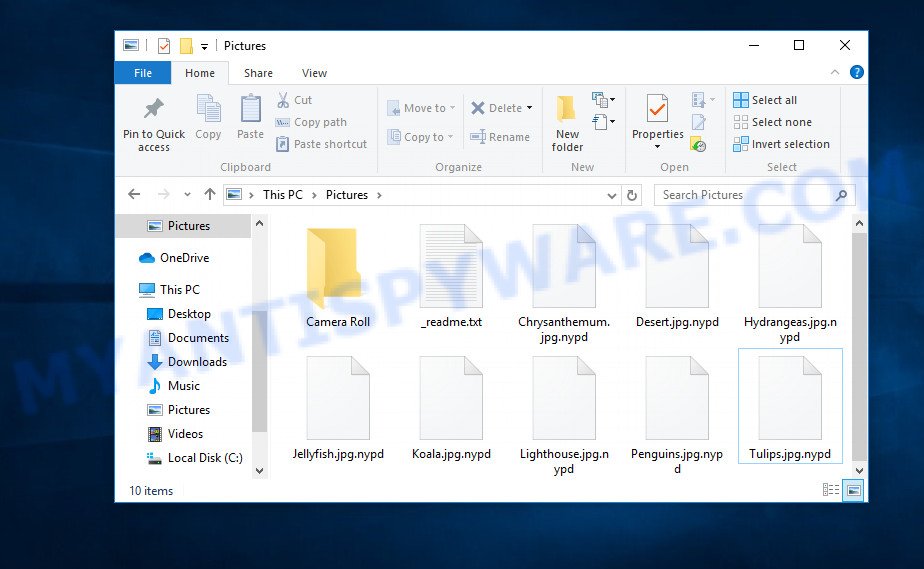 Files encrypted with .Nypd file extension