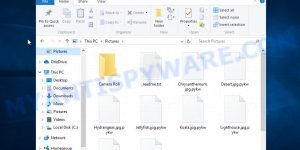 Files encrypted with .Pykw extension