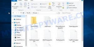 Files encrypted with .Pykw extension
