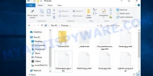 Files encrypted with .nlah file extension