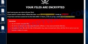 GNS ransomware