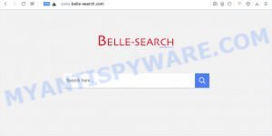 Belle Search