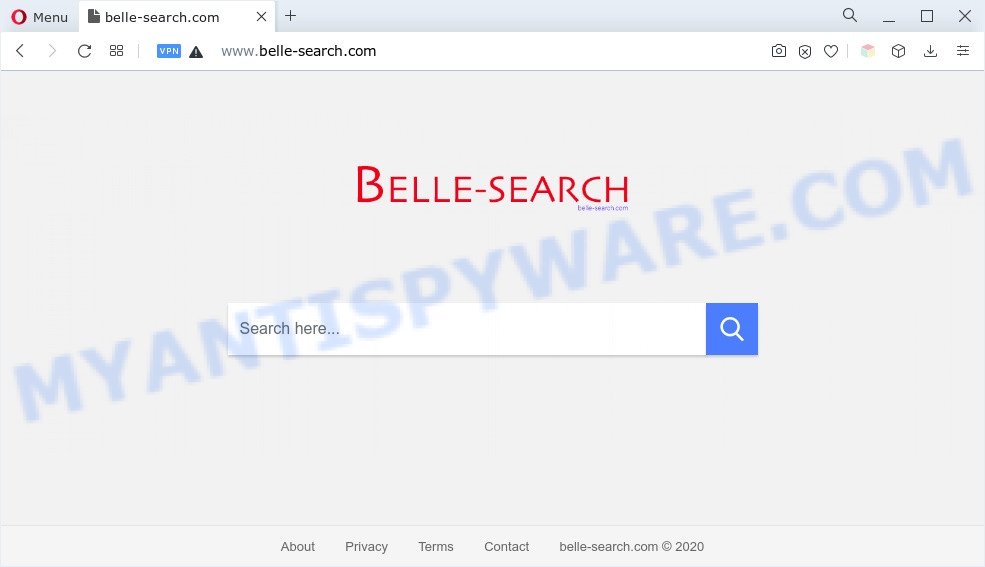 Belle Search