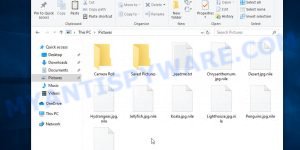 Files encrypted with .Nile extension