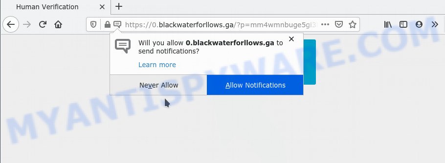 blackwaterforllows.ga