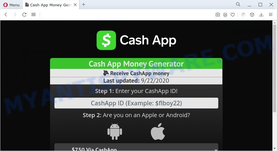 Cash App Money Generator